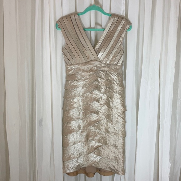 Cache Dresses & Skirts - Cache Champagne Colored Dress, STUNNING! 💋